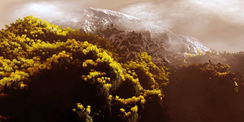 Yellow-leafed Forest Mountain
