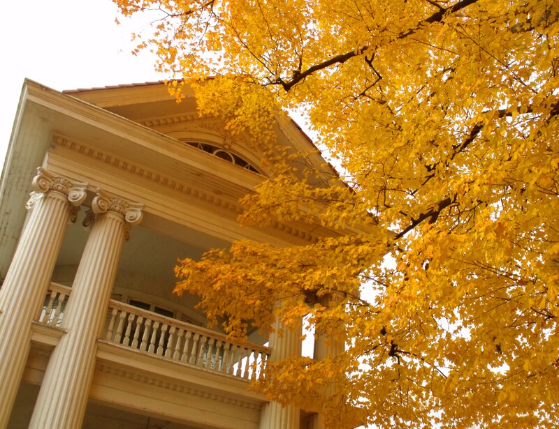 Yellow-leafed Tree and Porch