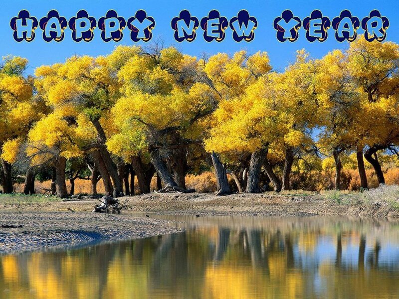 Yellow-leafed Trees by River — Yellow