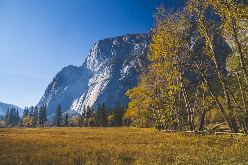Yellow-leafed Trees in Valley — Blue