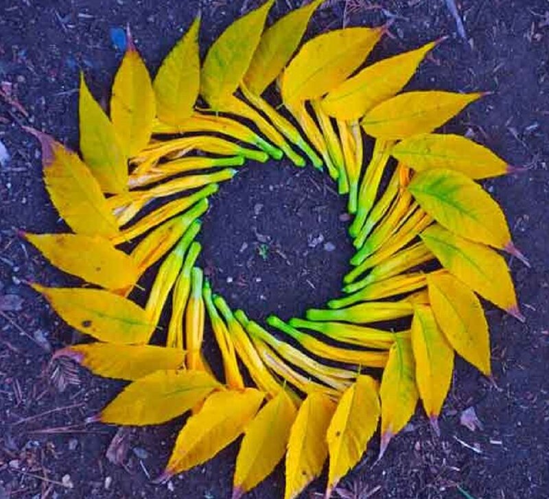 Yellow Leaves Arranged in Circle