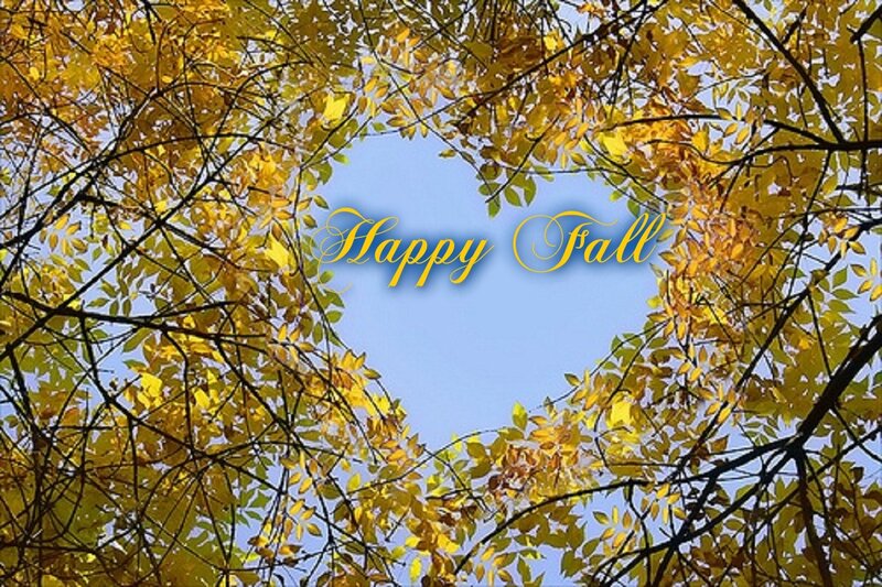 Yellow Leaves in Heart Shape