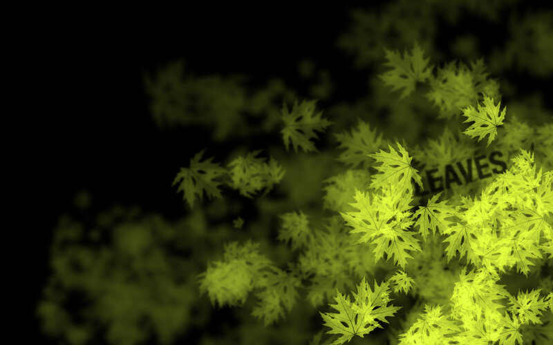 yellow leaves on black background