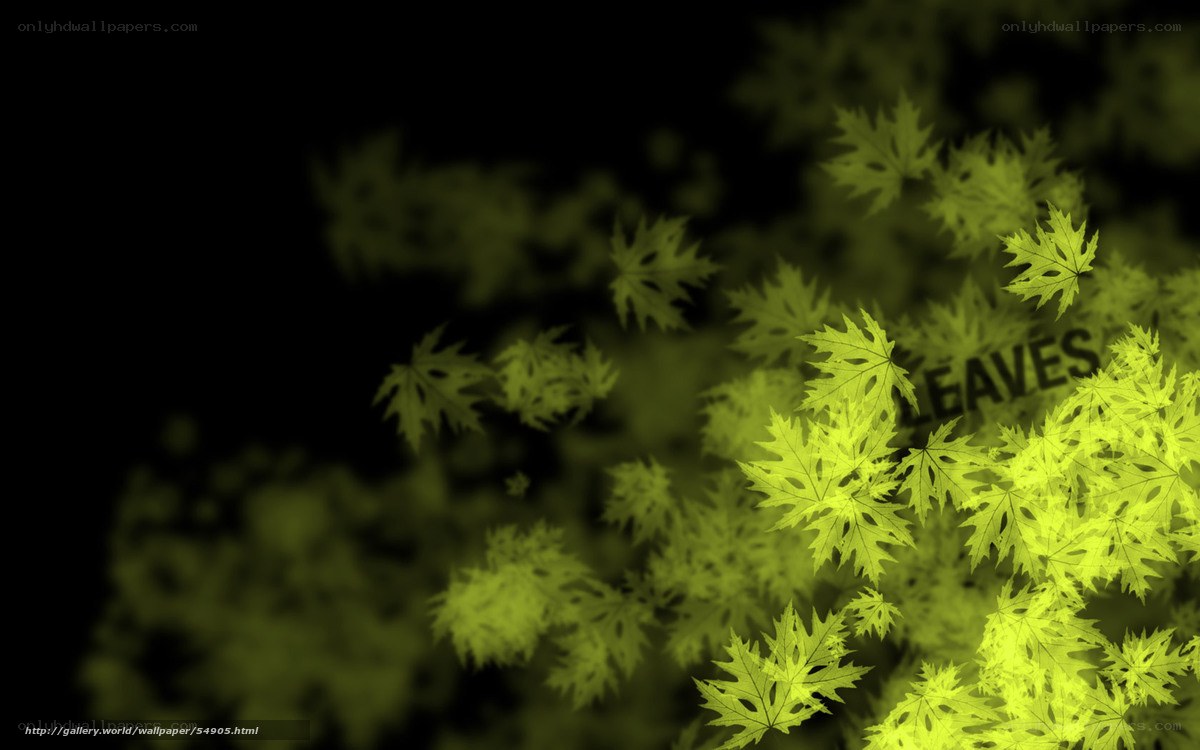 yellow leaves on black background