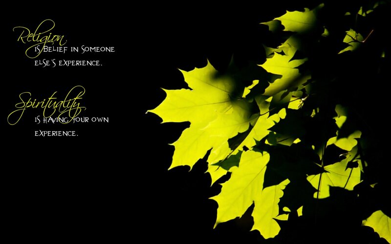 Yellow Leaves on Black