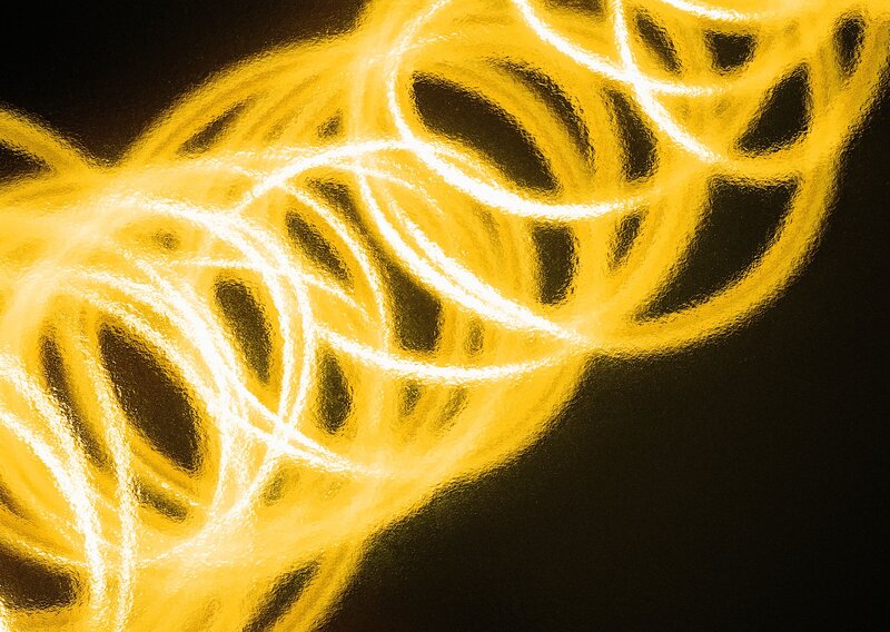 Yellow Light Trails