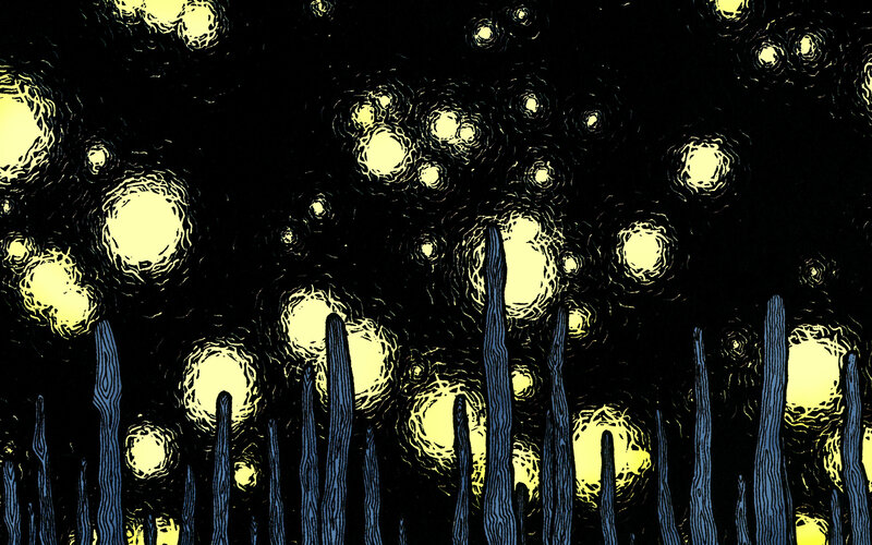 yellow lights in dark forest