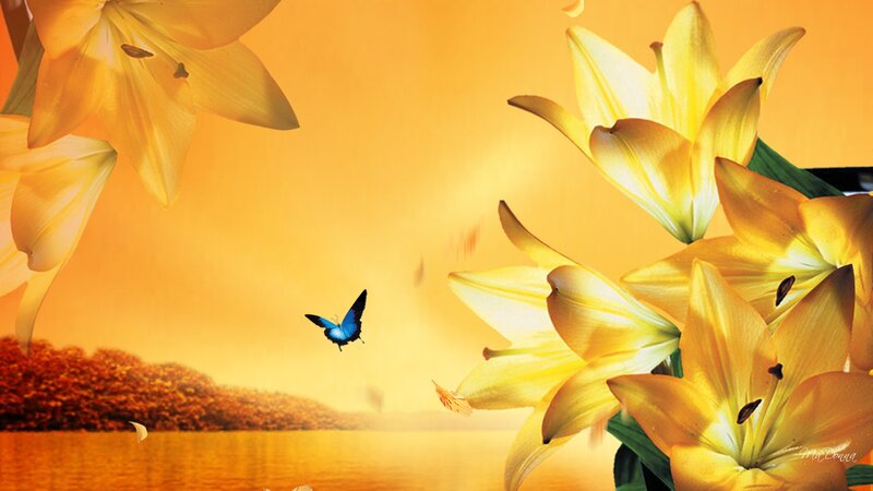 Yellow Lilies and Blue Butterfly
