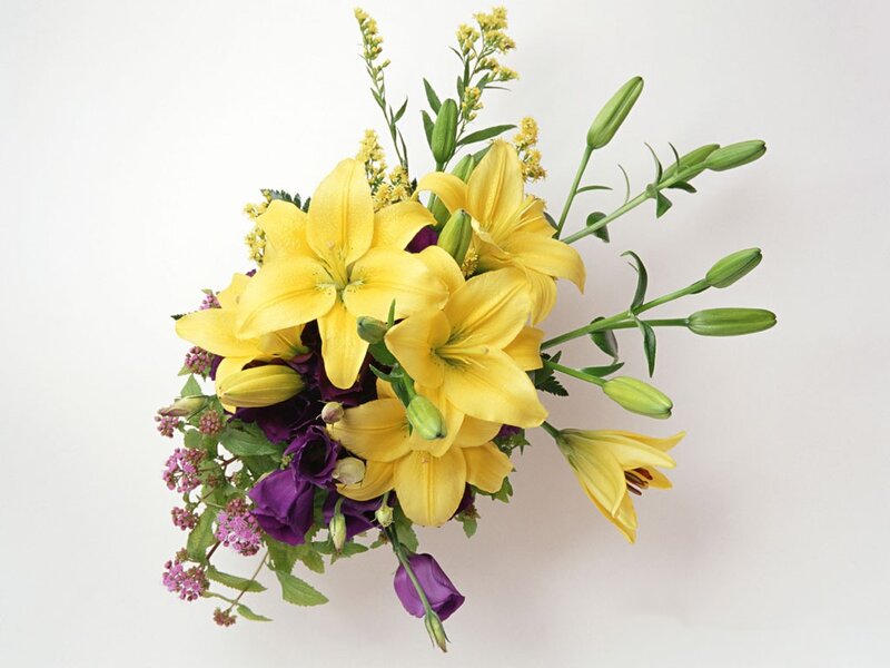 yellow lilies and purple flowers