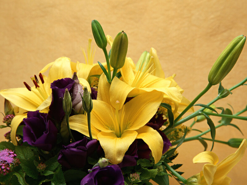 Yellow lilies and purple flowers