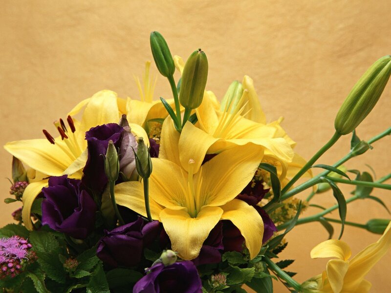 Yellow lilies and purple flowers
