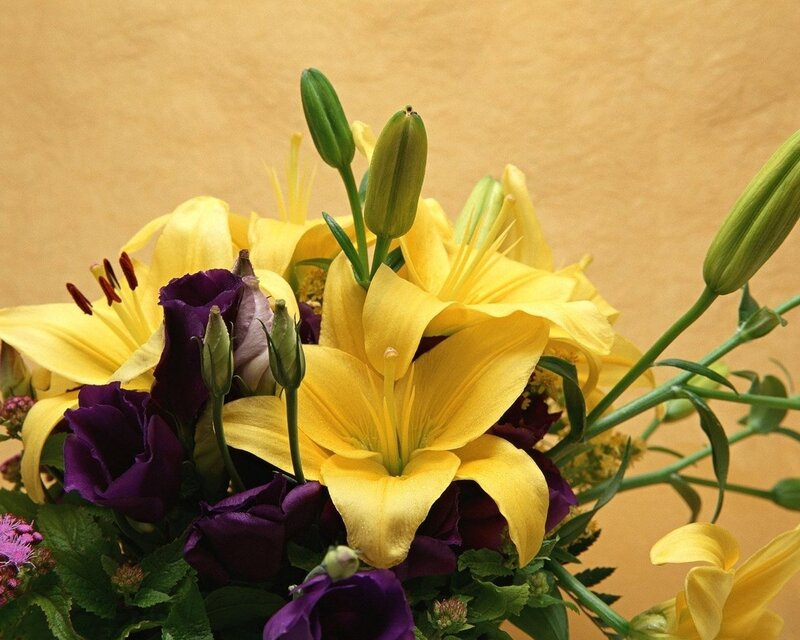 Yellow lilies and purple flowers