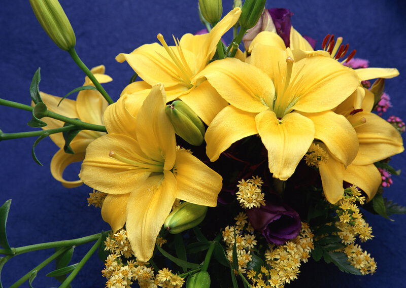 Yellow Lilies Bouquet — Calm