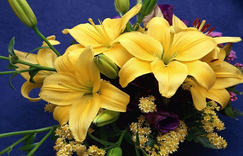 Yellow lilies in a bouquet