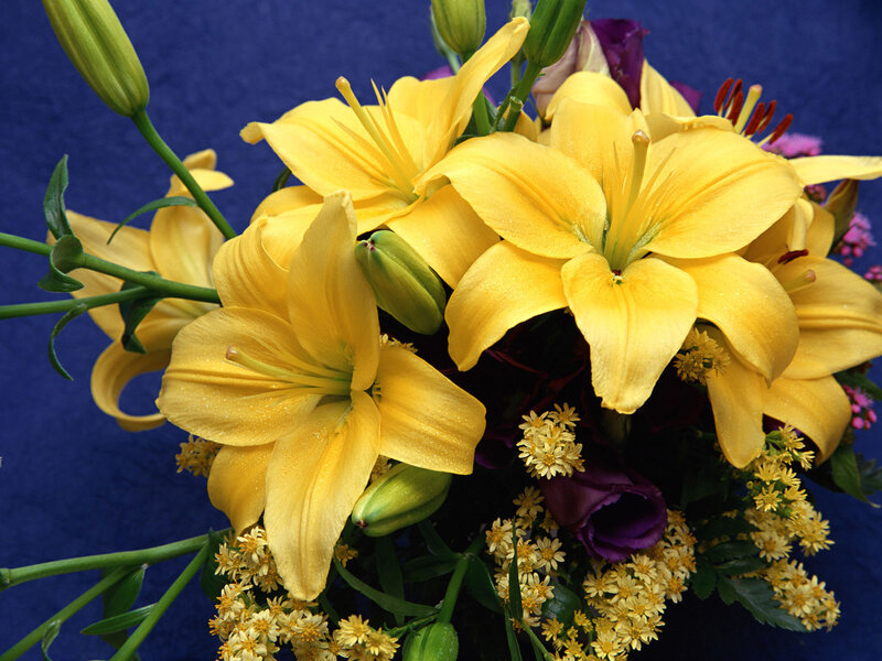 Yellow lilies in a bouquet