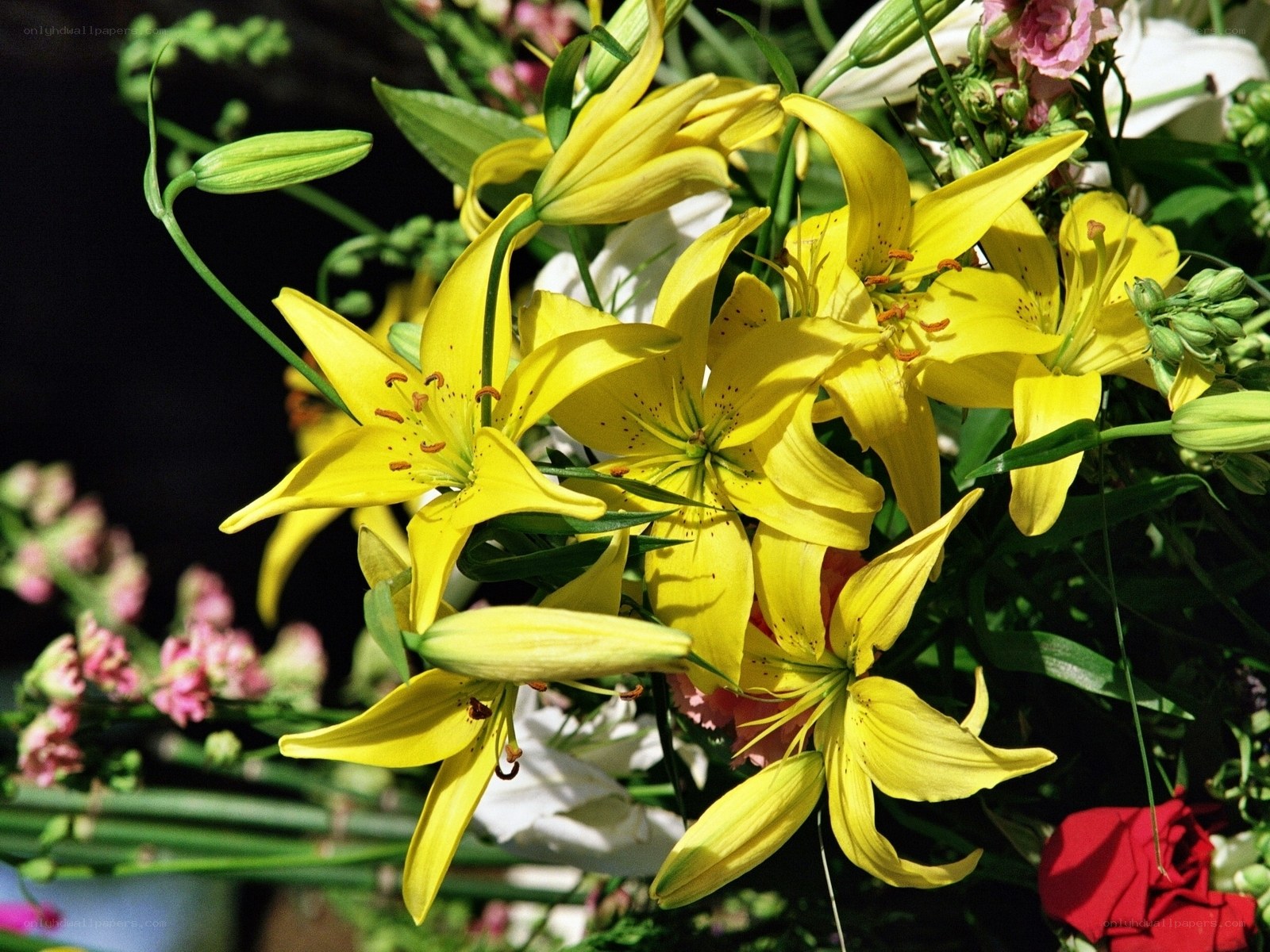 Yellow lilies in a bouquet