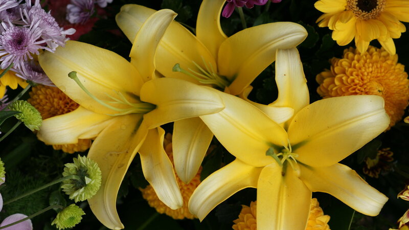 Yellow lilies in a floral arrangement