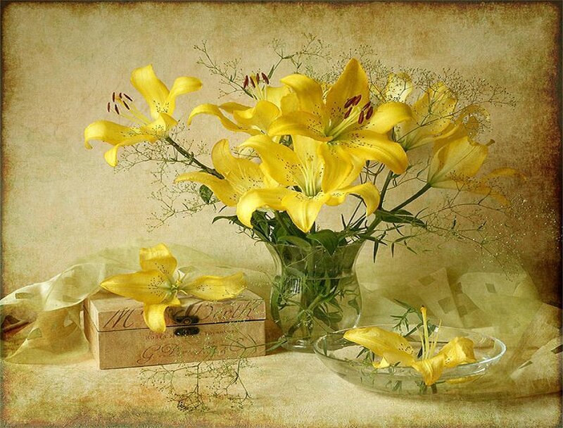 Yellow lilies in a still life