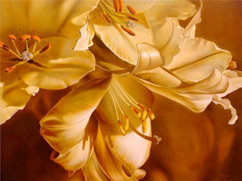 Yellow Lilies in Bloom — Serene