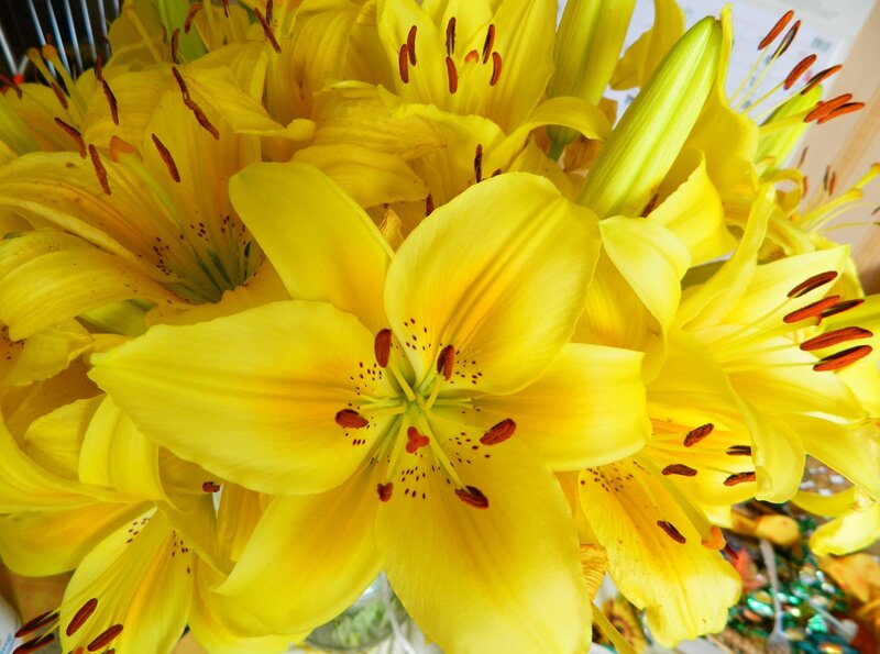 Yellow Lilies in Bouquet — Vibrant