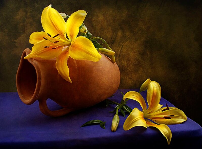 Yellow Lilies in Vase — Dramatic, Photograph