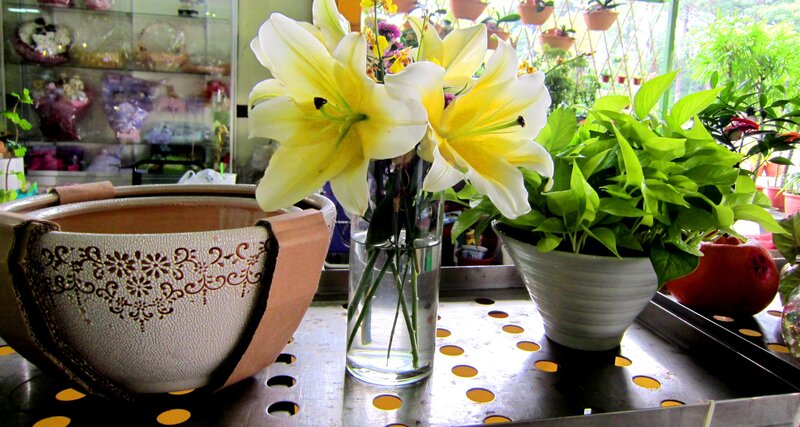 Yellow Lilies in Vase