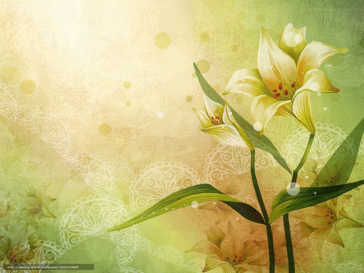 Yellow lilies on a soft background
