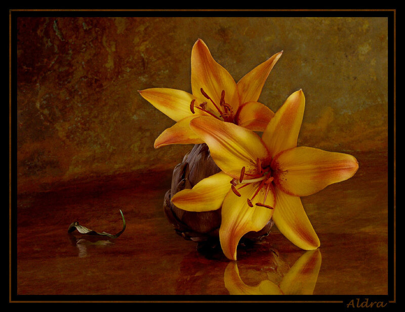 Yellow Lilies on Wood