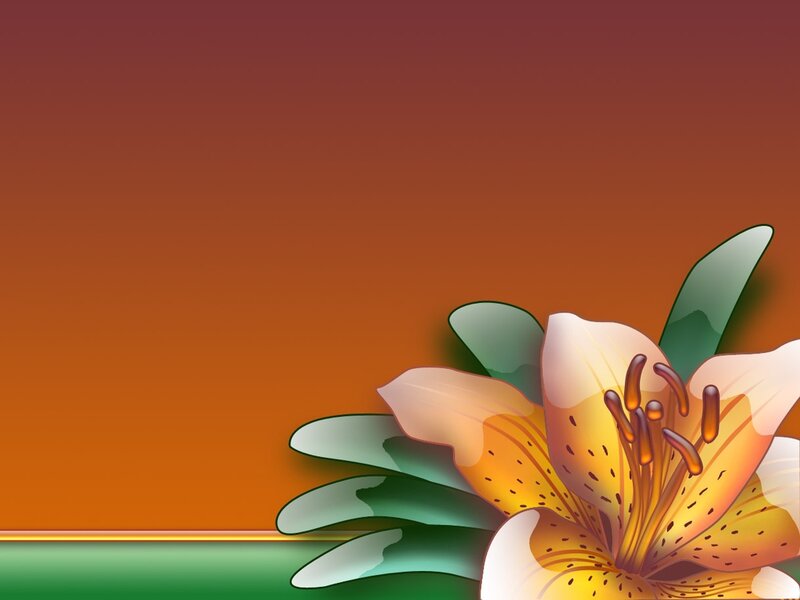 Yellow Lily Flower — Orange