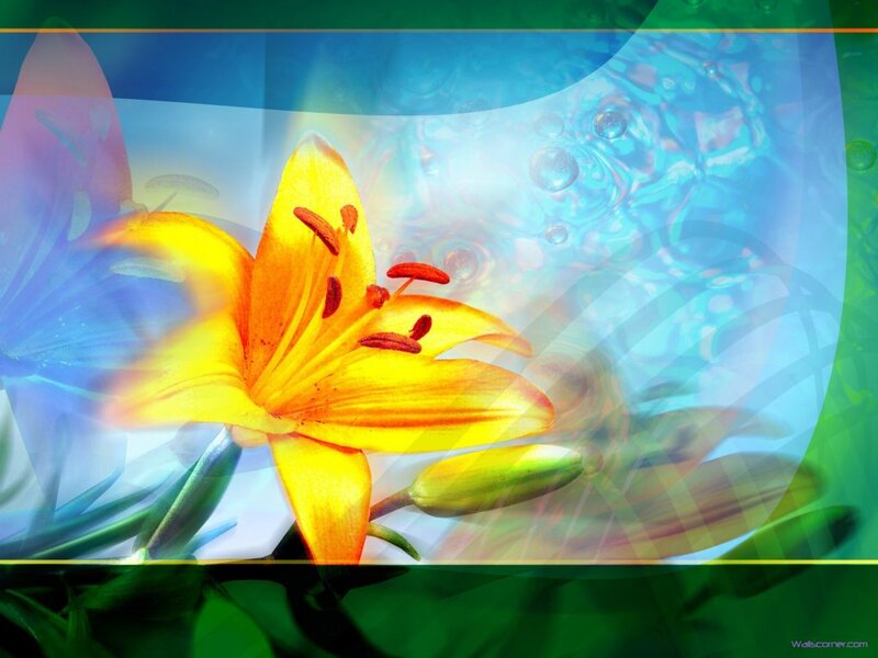 Yellow Lily Flower — Serene, Digital Art