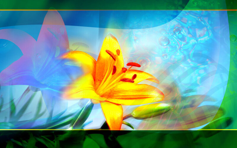 Yellow Lily Flower — Vibrant, Digital Art