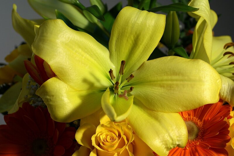 Yellow lily in a flower arrangement