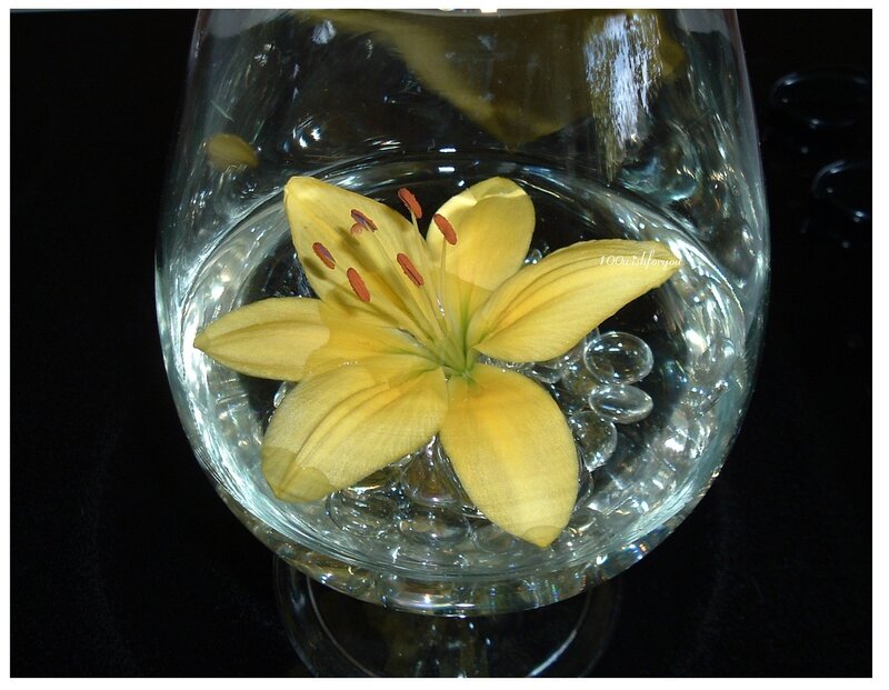 Yellow lily in glass bowl