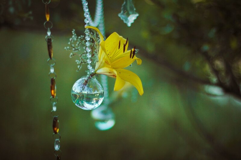 Yellow Lily in Glass Orb