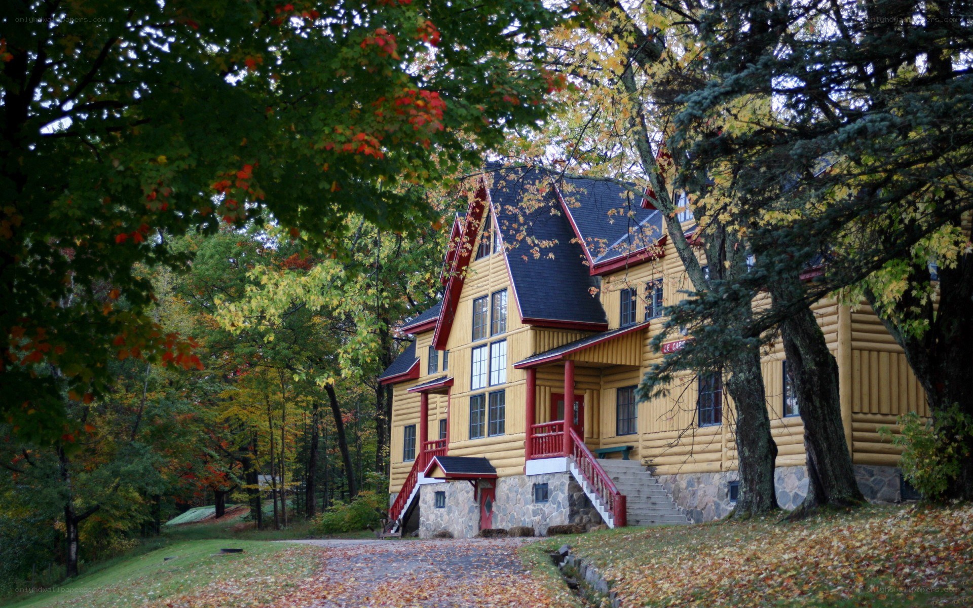 Yellow log cabin in autumn forest