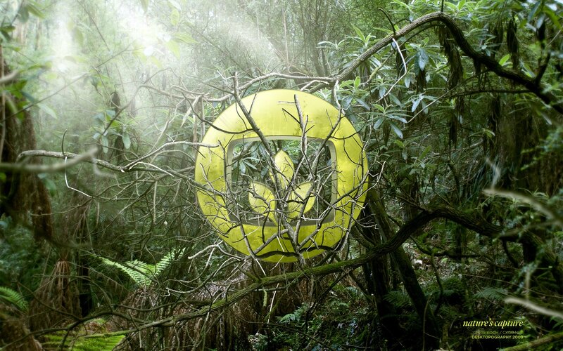 Yellow Logo in Forest — Green