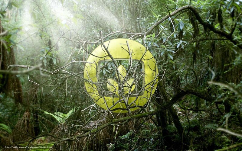 Yellow logo in forest