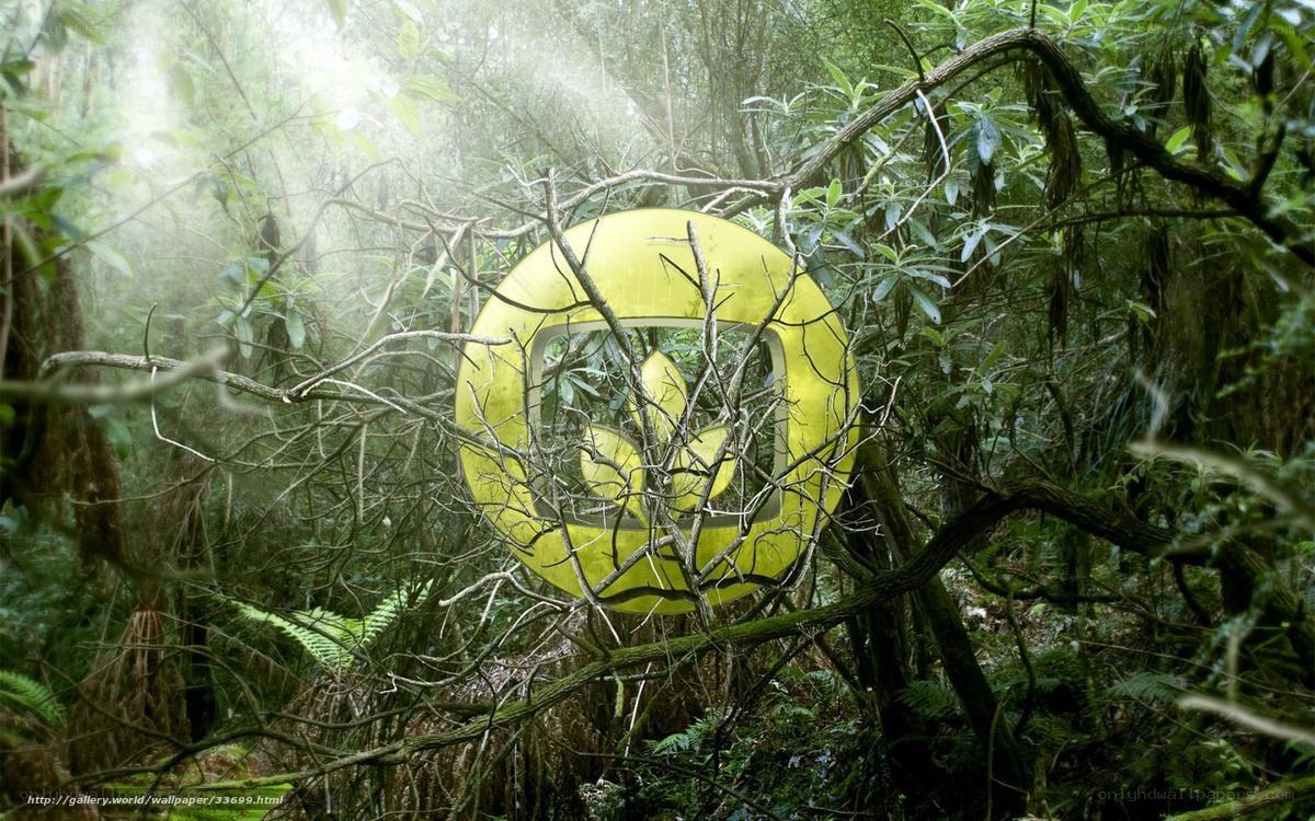 Yellow logo in forest