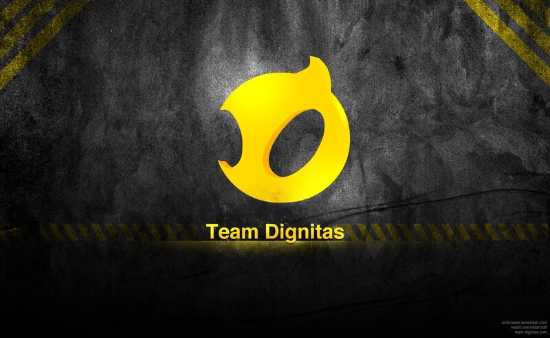 Yellow Logo on Dark Wall — Black