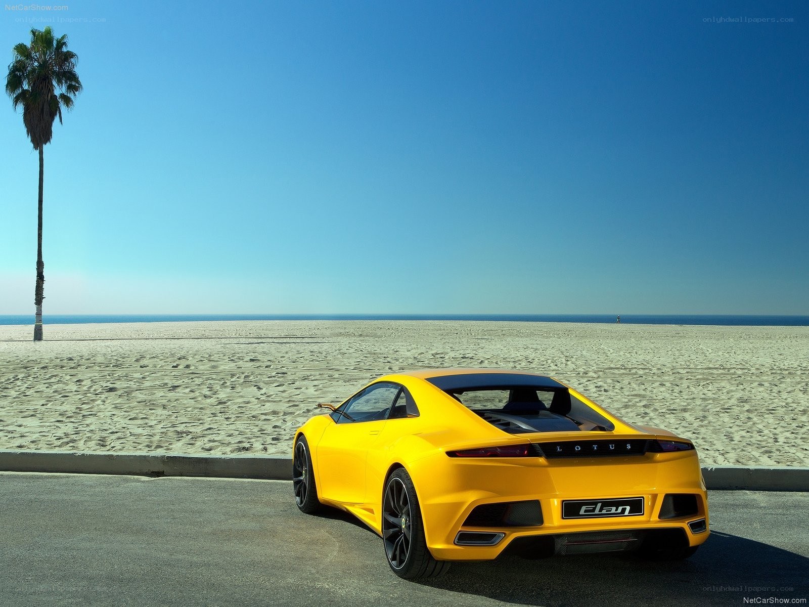 Yellow Lotus Elan on beach