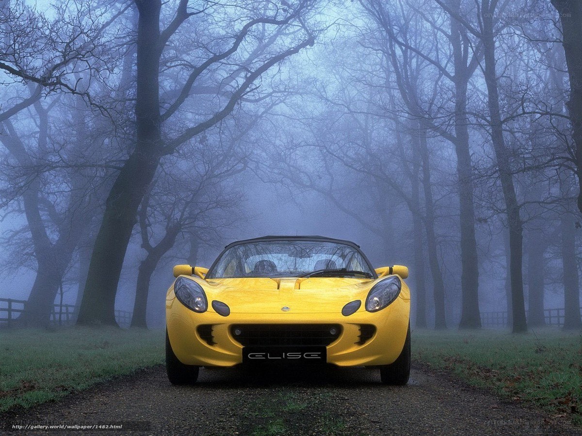 Yellow Lotus Elise in foggy forest