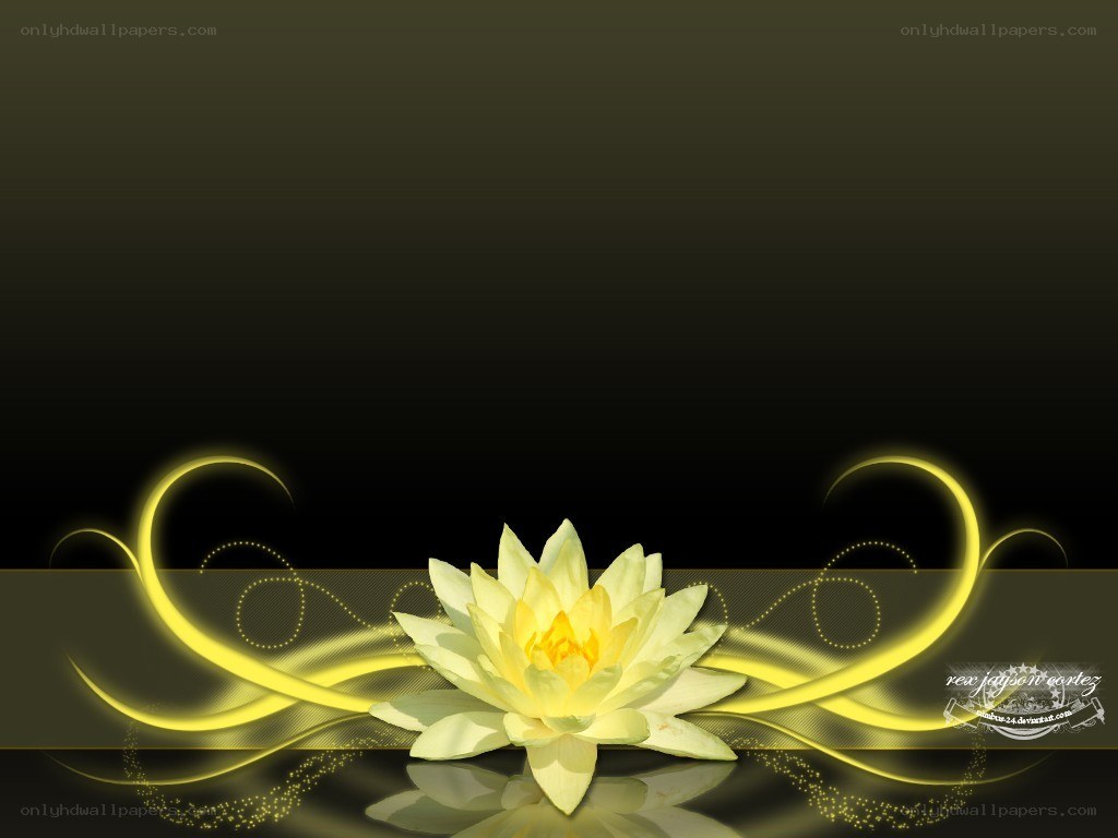yellow lotus flower design