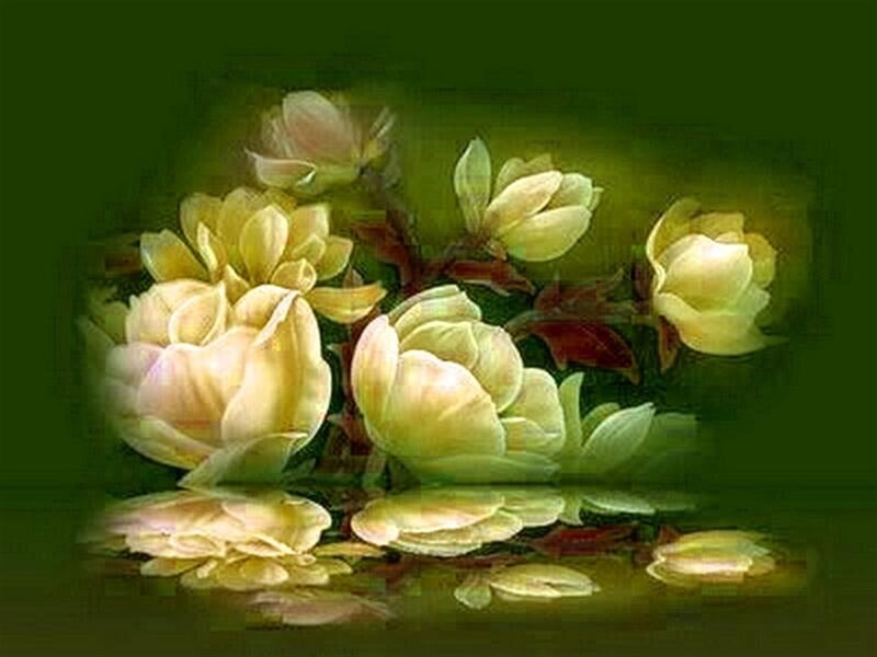 Yellow Magnolia Flowers — Green
