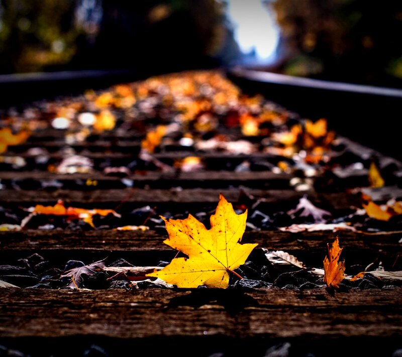 Yellow Maple Leaf — Dramatic, Autumn, Photograph, Railroad Tracks