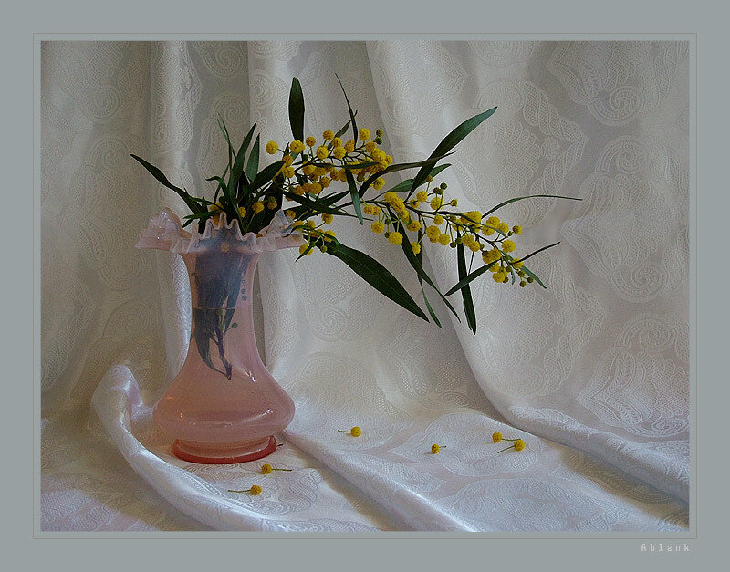 Yellow Mimosa Flowers in Vase