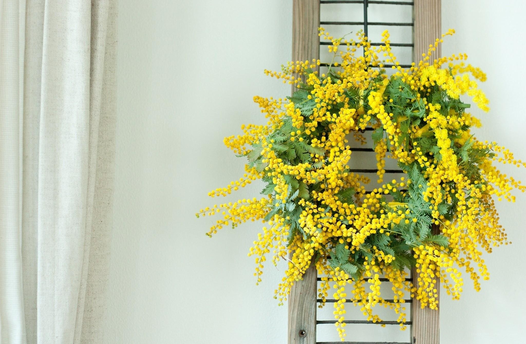 Yellow mimosa wreath on wall