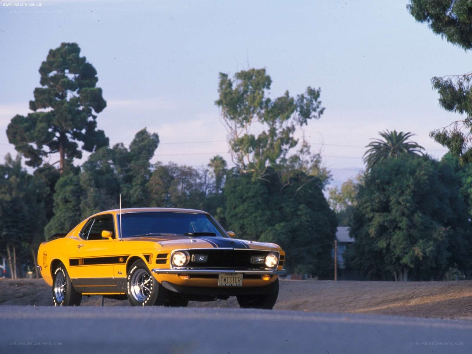 Yellow muscle car on road