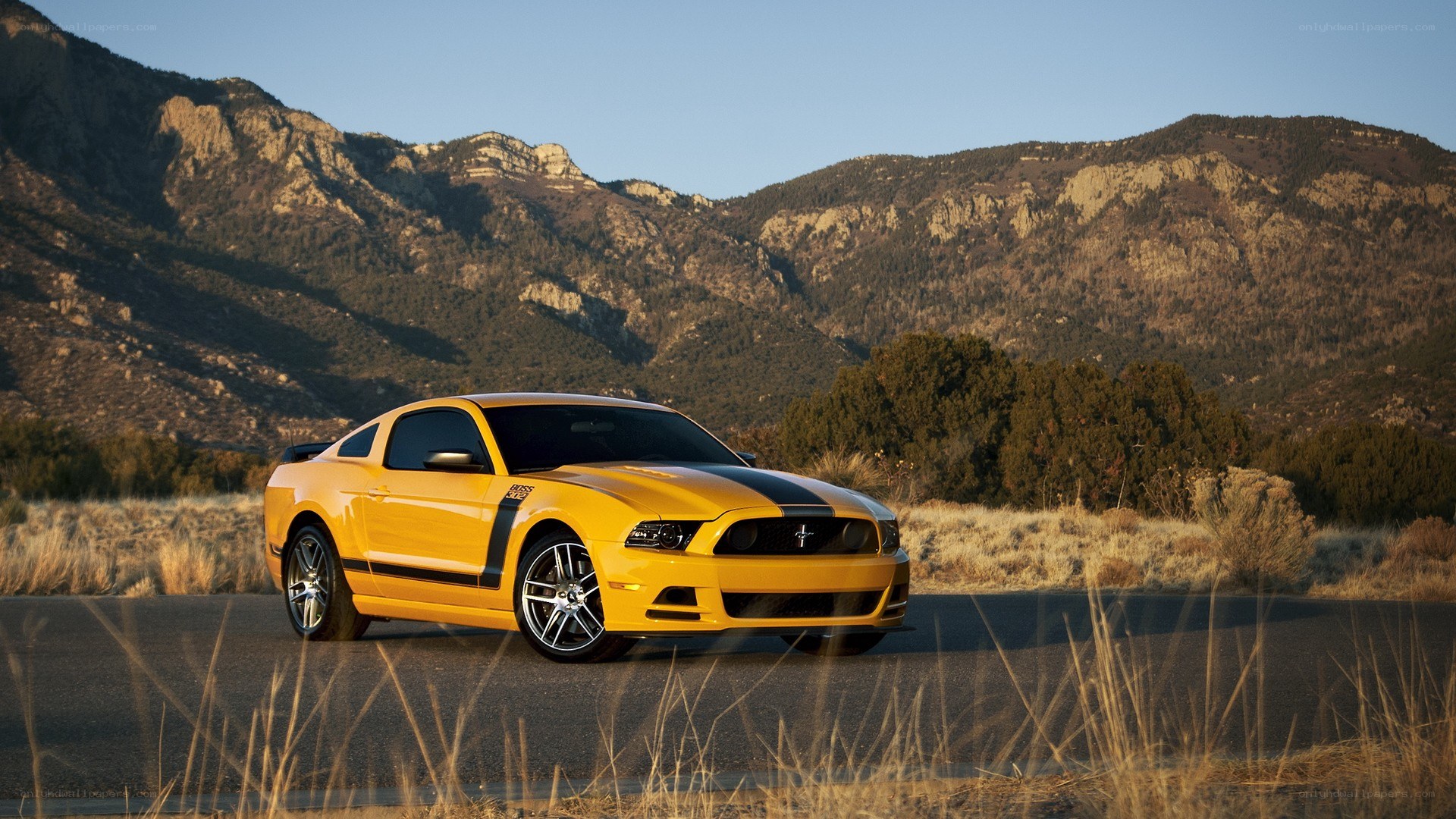 Yellow Mustang on mountain road
