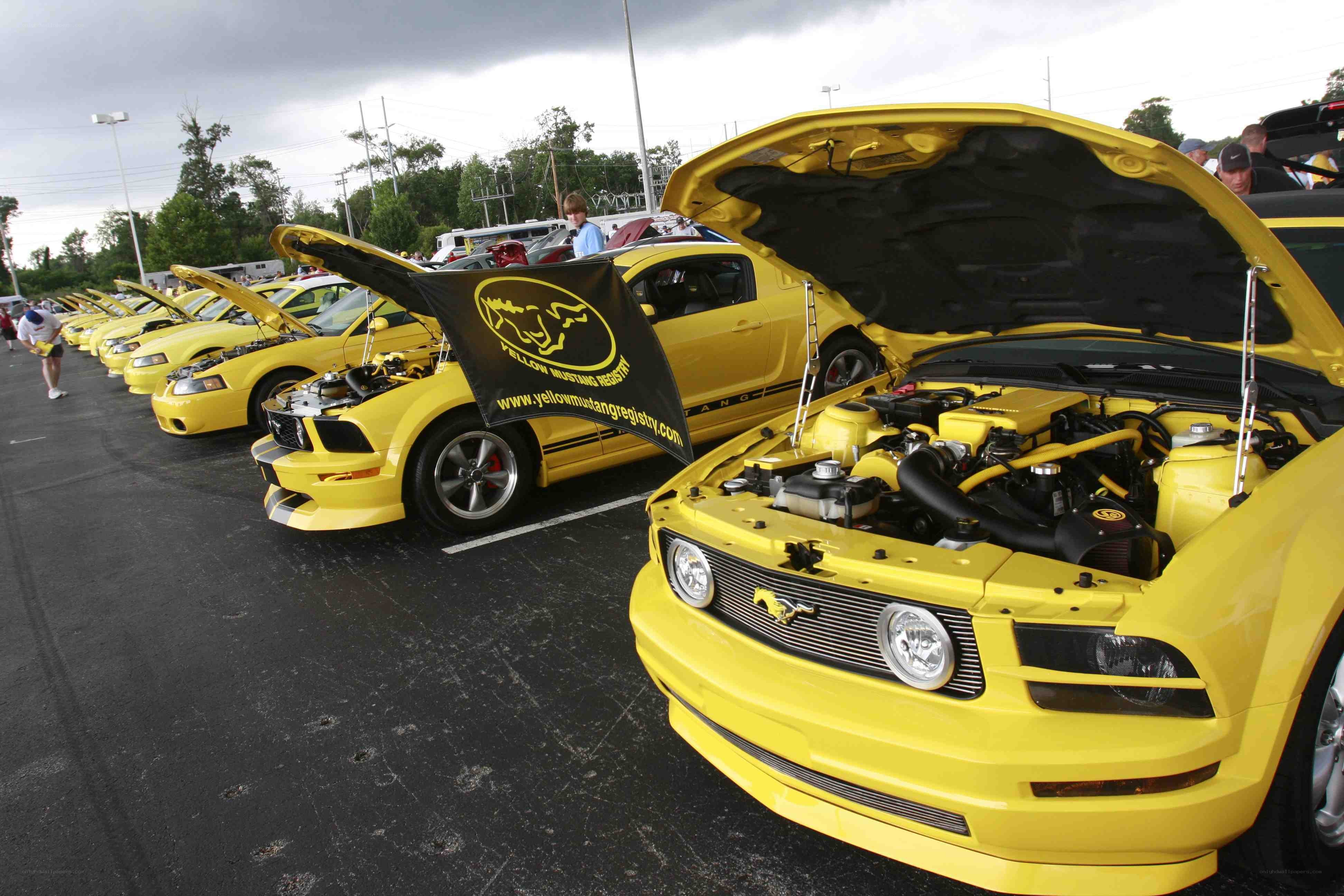 Yellow Mustangs at a car show