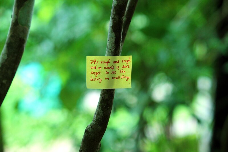 Yellow Note on Tree